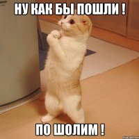 ну как бы пошли ! по шолим !