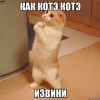 как котэ котэ извини