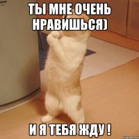 Ты мне очень нравишься) И я тебя жду !