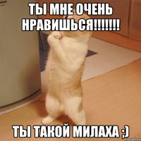 Ты мне очень нравишься!!!!!!! Ты такой милаха ;)