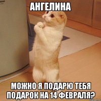 Ангелина Можно я подарю тебя подарок на 14 февраля?