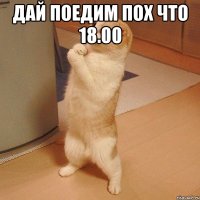 дай поедим пох что 18.00 