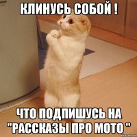 Клинусь собой ! Что подпишусь на "Рассказы про мото "