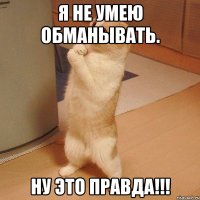 Я НЕ УМЕЮ ОБМАНЫВАТЬ. НУ ЭТО ПРАВДА!!!