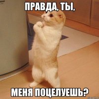 правда, ты, меня поцелуешь?