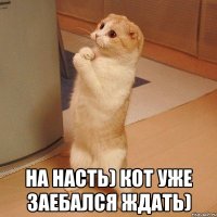  На Насть) Кот уже заебался ждать)