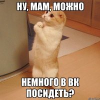 Ну, мам, можно немного в ВК посидеть?