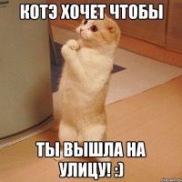 Котэ хочет чтобы ты вышла на улицу! :)