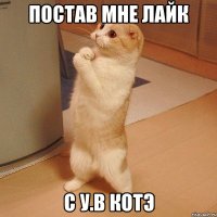 Постав мне лайК С У.В Котэ