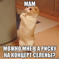 Мам Можно мне в А риску на концерт Селены?