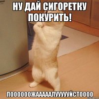 Ну дай сигоретку покурить! ПООООООЖАААААЛУУУУУЙСТОООО