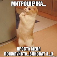 Митрошечка... Прости меня пожалуйста...виноват я...((