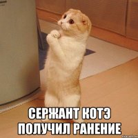  СЕРЖАНТ КОТЭ ПОЛУЧИЛ РАНЕНИЕ