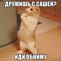 дружишь с сашей? иди обниму