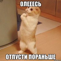 Олееесь Отпусти пораньше