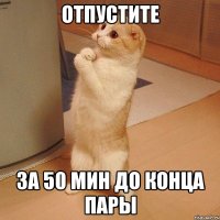 Отпустите За 50 мин до конца пары