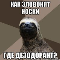 как зловонят носки где дезодорант?