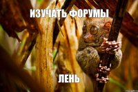 изучать форумы лень