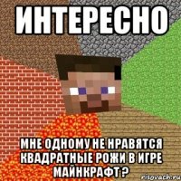 Интересно Мне одному не нравятся квадратные рожи в игре майнкрафт ?