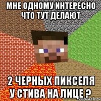 мне одному интересно что тут делают 2 черных пикселя у стива на лице ?