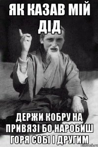 як казав мій Дід держи кобру на привязі бо наробиш горя собі і другим