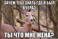 зачем тебе знать где я был вчера? ты что мне жена?