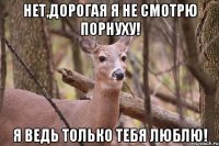 Нет,дорогая я не смотрю порнуху! Я ведь только тебя люблю!