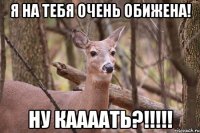 Я на тебя очень обижена! Ну Каааать?!!!!!