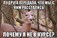 подруга передала, что мы с ним расстались почему я не в курсе?