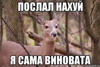 послал нахуй Я САМА ВИНОВАТА