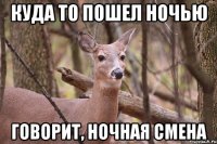 куда то пошел ночью говорит, ночная смена