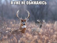 Я уже не обижаюсь ....