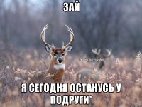 зай я сегодня останусь у подруги*