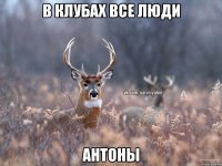 В клубах все люди Антоны