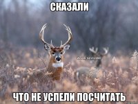 Сказали что не успели посчитать