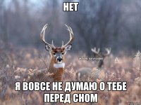 нет я вовсе не думаю о тебе перед сном