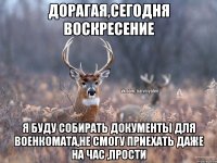 Дорагая,сегодня воскресение Я буду собирать документы для военкомата,не смогу приехать даже на час ,прости