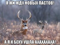 я жи жду новых пастов! а я к беку ушла ахахахаха!