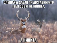 Слушай,а давай представим,что тебя зовут не Никита, А Никита