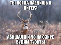 тЫ КОГДА ПАЕДИШЬ В ПИТЕР? АБИЩАЛ ЖИ ЧО НА ОЗИРЕ БУДИМ ТУСИТЬ!