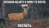 Поехала на хату к кому то после бара поспать