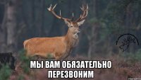  Мы вам обязательно перезвоним