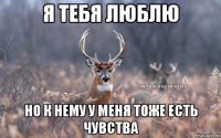 Я тебя люблю Но к нему у меня тоже есть чувства