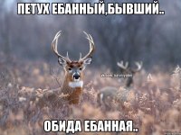 ПЕТУХ ЕБАННЫЙ,бЫВШИЙ.. оБИДА ЕБАННАЯ..