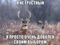 Я не грустный Я просто очень доволен своим выбором