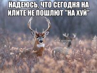 Надеюсь, что сегодня на Илите не пошлют "на хуй" 