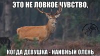 это не ловкое чувство, когда девушка - наивный олень