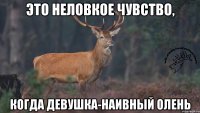 это неловкое чувство, когда девушка-наивный олень