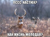 Пссс, Настюх? Как жизнь молодая?