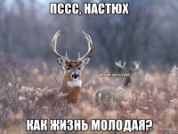 Пссс, Настюх Как жизнь молодая?